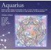 Wensli Silk Scarf - 12 constellations
